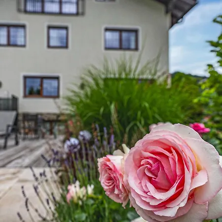 Schoen Eingerichtete Ferienw * 바그라인